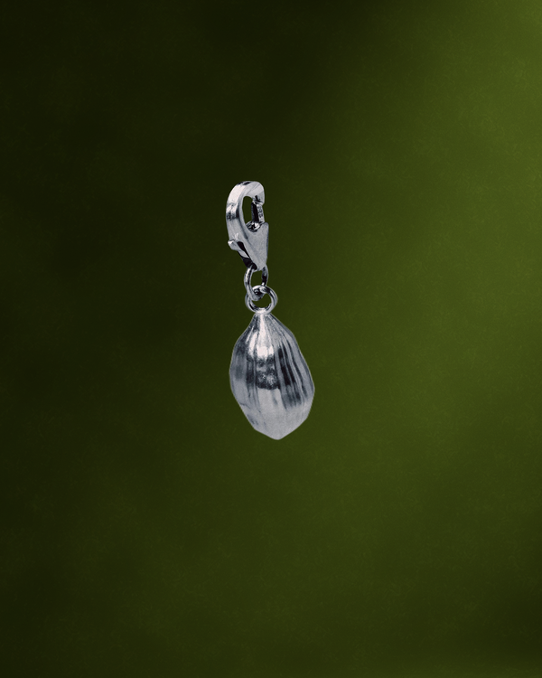 Cardamom Charm